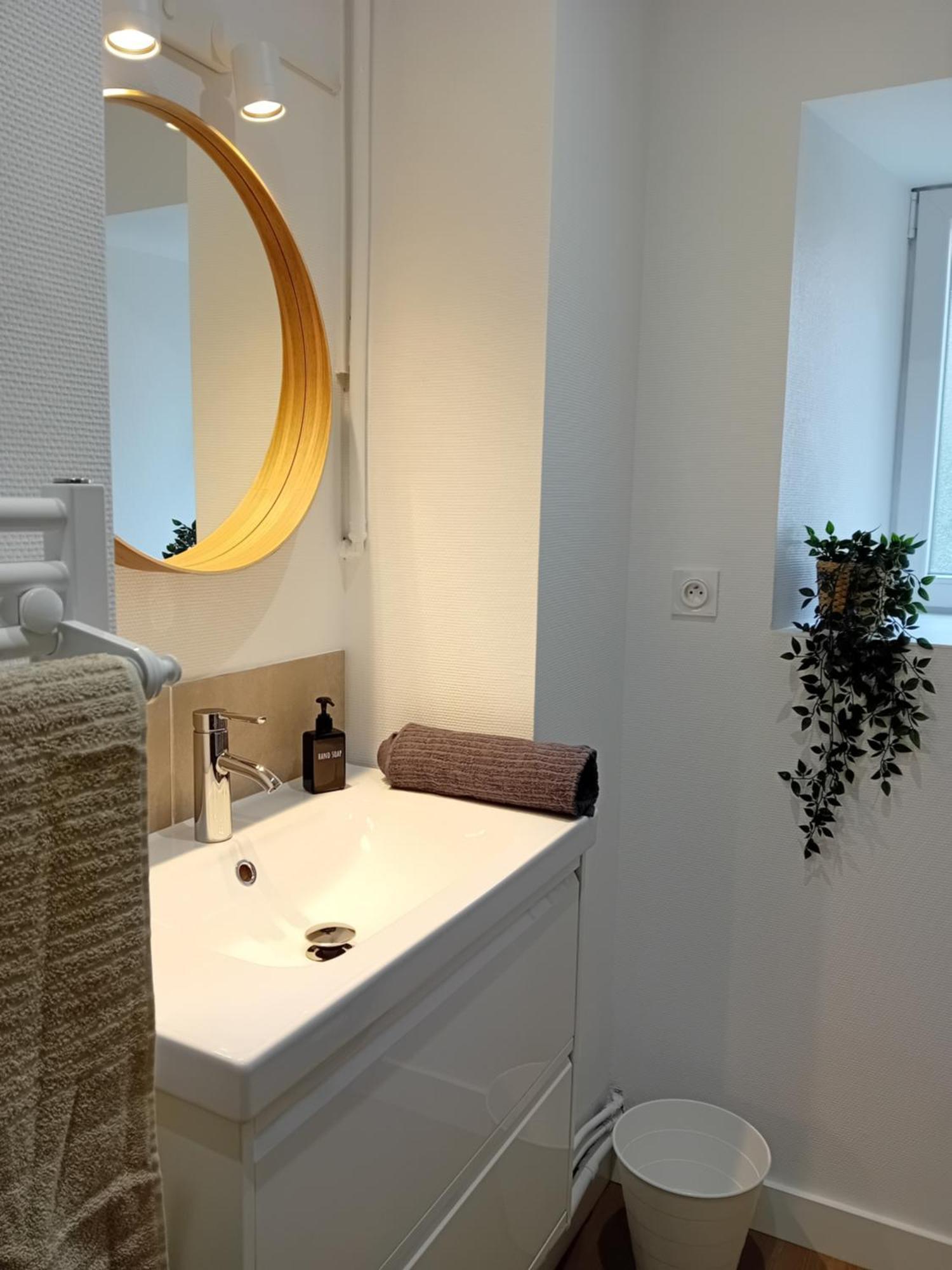101 - Appart Renove Avec 1 Chambre Spacieuse - Tram Et Clinique Mutualiste A 1 Min Grenoble Eksteriør bilde
